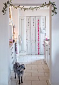 AMANDA KNOX HOUSE GRANTHAM: DOG IN WHITE AND PINK KITCHEN, CHRISTMAS