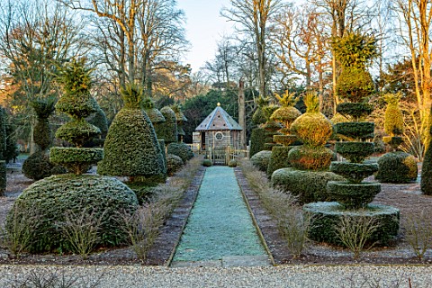 MALVERLEYS_HAMPSHIRE_WINTER_FROST_FROSTY_PATHS_CLIPPED_YOPIARY_YEW_SHAPES_RAISED_CHICKEN_HOUSE_FORMA
