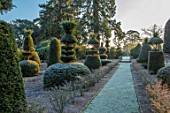 MALVERLEYS, HAMPSHIRE: WINTER, FROST, FROSTY, PATHS, CLIPPED, YOPIARY, YEW, SHAPES, FORMAL, COUNTRY, GARDEN, DWARF, HEDGING, HEDGES, EUONYMUS ALATUS COMPACTUS