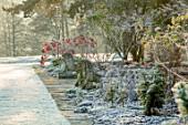 MALVERLEYS, HAMPSHIRE: WINTER, FROST, FROSTY, LAWN, BORDERS, LION STATUES, SCULPTURE, RED LEAVES OF HYDRANGEA QUERCIFOLIA