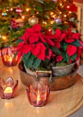 THE CONIFERS, OXFORDSHIRE: CHRISTMAS: COUNTRY, CLASSIC, LIVING ROOM, SITTING, ROOM, TABLE, CANDLES, POINSETTIA