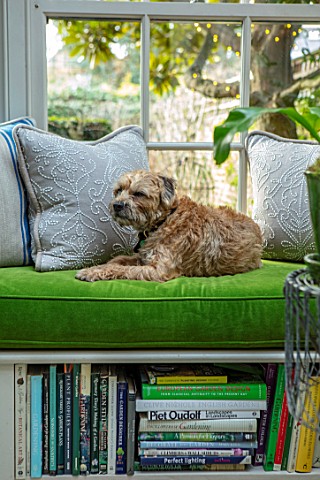 BUTTER_WAKEFIELD_HOUSE_LONDON_CHRISTMAS_GLASS_CONSERVATORY_JUST_OFF_THE_KITCHEN__PET_DOG_WAFER