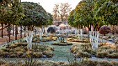 THE OLD RECTORY, QUINTON, NORTHAMPTONSHIRE: DESIGNER ANOUSHKA FEILER: FROST, WHITE GARDEN - SWEET OLIVES - OSMANTHUS FRAGRANS - PAINTED WHITE. ROSE, ROSA WINCHESTER CATHEDRAL