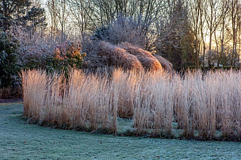 THE_OLD_RECTORY_QUINTON_NORTHAMPTONSHIRE_DESIGNER_ANOUSHKA_FEILER_FROST_WINTER_JANUARY_MZE_OF_CALAMA