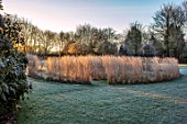 THE OLD RECTORY, QUINTON, NORTHAMPTONSHIRE: DESIGNER ANOUSHKA FEILER: FROST, WINTER, JANUARY, MZE OF CALAMAGROSTIS X ACUTIFLORA KARL FOERSTER, LAWN, GRASSES