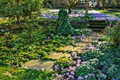 LITTLE COURT, HAMPSHIRE - LAWN, STEPPING STONES, STEPS, ACONITES, ERANTHIS HYEMALIS, CROCUS TOMMASINIANUS, APPLE ORCHARD, NATURALIZED, BULBS, LAWN, GRASS, SHADE, SHADY