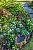 LITTLE COURT, HAMPSHIRE - BORDER, SNOWDROPS, ACONITES, ERANTHIS HYEMALIS, NATURALIZED, BULBS, SHADE, SHADY, PATHS, WATER FEATURE, BOWL, CONTAINER