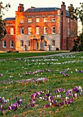 MORTON HALL, WORCESTERSHIRE: CROCUS IN THE PARKLAND MEADOW WITH HALL BEHIND. CROCUSES, CROCI, FEBRUARY, SUNRISE, MEADOWS, NATURALISED, MASSES