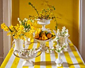 MARBURY HALL, SHROPSHIRE: DESIGNER SOFIE PATON-SMITH - YELLOW HALLWAY, TABLE, YELLOW AND WHITE TABLECLOTH, HYACINTHS, DAFFODILS IN WHITE VASES, CONTAINERS