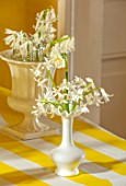 MARBURY HALL, SHROPSHIRE: DESIGNER SOFIE PATON-SMITH - YELLOW HALLWAY, TABLE, YELLOW AND WHITE TABLECLOTH, DAFFODILS, HYACINTHS IN WHITE VASES, CONTAINERS