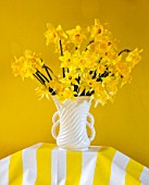 MARBURY HALL, SHROPSHIRE: DESIGNER SOFIE PATON-SMITH - YELLOW HALLWAY, TABLE, YELLOW AND WHITE TABLECLOTH, DAFFODILS IN WHITE VASES, CONTAINERS