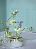 MARBURY HALL, SHROPSHIRE: DESIGNER SOFIE PATON-SMITH, BLUE DINING ROOM, WHITE TABLE CLOTH, SPRING FLOWERS IN VASES, DAFFODILS, ANEMONES
