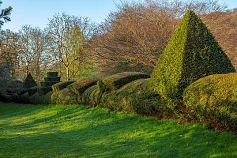 LITTLE_MALVERN_COURT_WORCESTERSHIRE_CLIPPED_YEW_TOPIARY_HEDGES_HEDGING_SPRING
