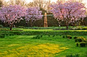 THE OLD VICARAGE, WORMLEIGHTON, WARWICKSHIRE: LAWN, PINK FLOWERS OF PRUNUS ACCOLADE, CHERRIES, GOLD ARMILLARY SPHERE, EVENING, LIGHT, SCULPTURE, FOCAL POINT, TREES, BLOSSOM, SPRING