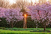 THE OLD VICARAGE, WORMLEIGHTON, WARWICKSHIRE: LAWN, PINK FLOWERS OF PRUNUS ACCOLADE, CHERRIES, GOLD ARMILLARY SPHERE, EVENING, LIGHT, SCULPTURE, FOCAL POINT, TREES, BLOSSOM, SPRING