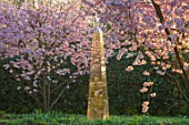 THE OLD VICARAGE, WORMLEIGHTON, WARWICKSHIRE: LAWN, PINK FLOWERS OF PRUNUS ACCOLADE, CHERRIES, EVENING, LIGHT, TREES, BLOSSOM, SPRING, GOLD ARMILLARY SPHERE, SCULPTURE
