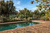 TAROUDANT, MOROCCO: DESIGNERS ARNAUD MAURIERES AND ERIC OSSART: SWIMMING POOL, GREEN BORDER, CACTUS, CACTI, AGAVES, ARID, DRY, REFLECTIONS