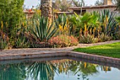TAROUDANT, MOROCCO: DESIGNERS ARNAUD MAURIERES AND ERIC OSSART: SWIMMING POOL, CACTUS, CACTI, AGAVES, ARID, DRY, REFLECTIONS, LAWN, PALMS