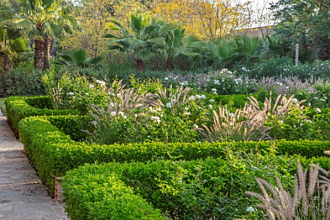 TAROUDANT_MOROCCO_DESIGNERS_ARNAUD_MAURIERES_AND_ERIC_OSSART_PARTERRE_PLANTED_WITH_WHITE_FLOWERS_OF_