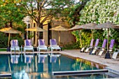 TAROUDANT, MOROCCO: DESIGNERS ARNAUD MAURIERES AND ERIC OSSART: SWIMMING POOL, WATER, SUNLOUNGERS, TOWELS, CANOPY, SUN LOUNGERS, BOUGAINVILLEA, PURPLE, BLUE