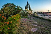 TAROUDANT, MOROCCO: DESIGNERS ARNAUD MAURIERES AND ERIC OSSART: STEPPING STONES ACROSS ROOF GARDEN, BOUGAINVILLEA, PENCIL CYPRESS, SUCCULENTS, SUNRISE, CUPRESSUS SEMPERVIRENS