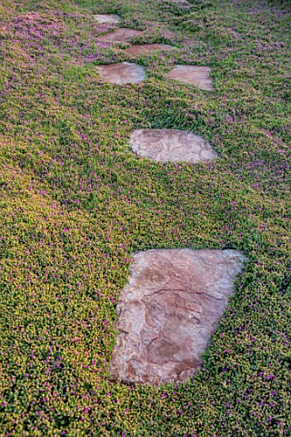 TAROUDANT_MOROCCO_DESIGNERS_ARNAUD_MAURIERES_AND_ERIC_OSSART_STEPPING_STONES_ACROSS_ROOF_GARDEN_PATH