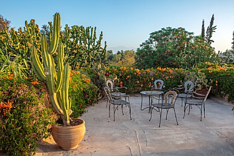 TAROUDANT_MOROCCO_DESIGNERS_ARNAUD_MAURIERES_AND_ERIC_OSSART_ROOF_GARDEN_TABLE_CHAIRS_CACTUS_IN_TERR