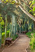 TAROUDANT, MOROCCO: DESIGNERS ARNAUD MAURIERES AND ERIC OSSART: PATH, BENCH, SEAT, SEARTING, CACTUS, CACTI, SUCCULENTS