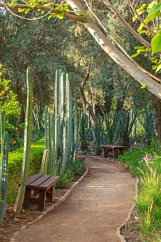 TAROUDANT_MOROCCO_DESIGNERS_ARNAUD_MAURIERES_AND_ERIC_OSSART_PATH_BENCH_SEAT_SEARTING_CACTUS_CACTI_S