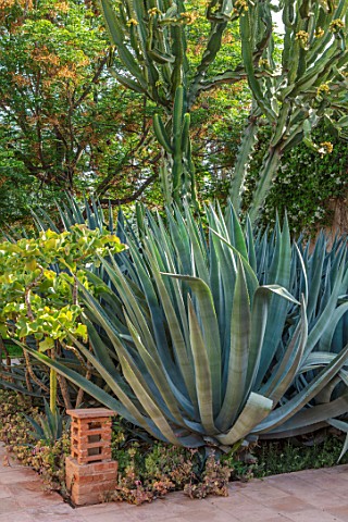TAROUDANT_MOROCCO_DESIGNERS_ARNAUD_MAURIERES_AND_ERIC_OSSART_BORDER_WITH_AGAVES_SUCCULENTS_ARID_DRY