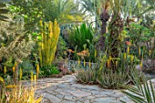TAROUDANT, MOROCCO: DESIGNERS ARNAUD MAURIERES AND ERIC OSSART: DAR AL HOSSOUN - CACTUS, CACTI AND EXOTIC PLANTING BESIDE POOL, WATER, CANAL, ALOE VERA, TERRACES, YELLOW FLOWERS