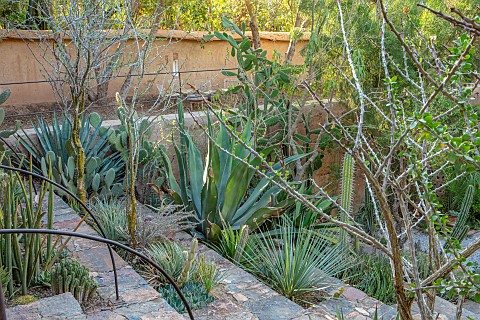 TAROUDANT_MOROCCO_DESIGNERS_ARNAUD_MAURIERES_AND_ERIC_OSSART_QUARRY_GARDEN_WITH_CACTI_AND_SUCCULENTS