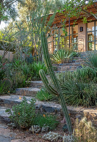 TAROUDANT_MOROCCO_DESIGNERS_ARNAUD_MAURIERES_AND_ERIC_OSSART_QUARRY_GARDEN_WITH_CACTI_AND_SUCCULENTS