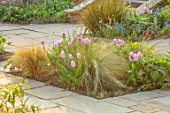 GRAVETYE MANOR SUSSEX: SPRING, APRIL, COUNTRY, GARDEN, STONE PATHS, TULIPS, STIPA TENUISSIMA, IN THE BORDERS, LAWNS