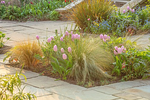 GRAVETYE_MANOR_SUSSEX_SPRING_APRIL_COUNTRY_GARDEN_STONE_PATHS_TULIPS_STIPA_TENUISSIMA_IN_THE_BORDERS
