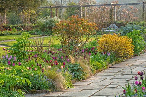 GRAVETYE_MANOR_SUSSEX_SPRING_APRIL_COUNTRY_GARDEN_LUTYENS_BENCH_SEAT_ON_LAWN_PATH_TULIPS_IN_BORDER