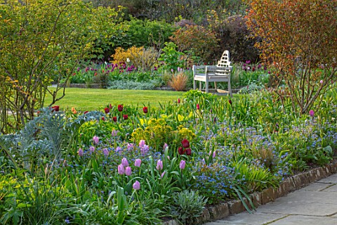 GRAVETYE_MANOR_SUSSEX_SPRING_APRIL_COUNTRY_GARDEN_BORDER_BESIDE_PATH_WITH_FORGETMENOTS_AND_TULIPS_LU