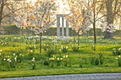 MORTON HALL, WORCESTERSHIRE: THE MEADOW AT SUNRISE. WHITE FLOWERS OF PRUNUS FRAGRANT CLOUD, SHIZUKA, SCENTED, APRIL, SPRING, TREES, DAFFODILS, NARCISSI, MONOPTEROS