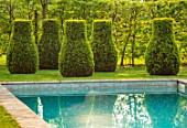 THE OLD VICARAGE, WORMLEIGHTON, WARWICKSHIRE: SWIMMING POOL, SPRING, APRIL, LAWN, CLIPPED TOPIARY BOX, GREEN