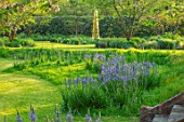 THE OLD VICARAGE, WORMLEIGHTON, WARWICKSHIRE: DESIGNER ANGEL COLLINS - LAWN WITH CAMASSIA CAERULEA AND TULIP QUEEN OF NIGHT - STEEL OBELISK BY DAVID HARBER. BLUE FLOWERS, MEADOW