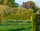 THE OLD VICARAGE, WORMLEIGHTON, WARWICKSHIRE: MEADOW WITH PLANTING OF TULIPA BURGUNDY, TULIP BLACK JACK, BLOSSOM, CHURCH