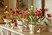 MARBURY HALL, SHROPSHIRE: DESIGNER SOFIE PATON-SMITH: TULIPS IN CONSTANCE SPRY VASES IN THE FLOWER ROOM. ARRANGEMENTS, CUTTING, GARDEN, CUT, FLOWERS, SPRING