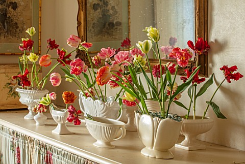 MARBURY_HALL_SHROPSHIRE_DESIGNER_SOFIE_PATONSMITH_TULIPS_IN_CONSTANCE_SPRY_VASES_IN_THE_FLOWER_ROOM_