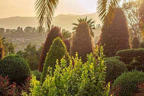 RADICEPURA_GARDEN_FESTIVAL_SICILY_ITALY_CLIPPED_TOPIARY_SHAPES_WITH_ETNA_IN_THE_BACKGROUND_SUNRISE