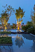 RADICEPURA GARDEN FESTIVAL, SICILY, ITALY: HOME GROUND BY ANTONIO PERAZZI. WATER GARDEN WITH TREES, WATER FEATURE, PALM TREES, LIGHTING, NIGHT, LIGHTS