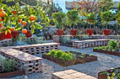 RADICEPURA GARDEN FESTIVAL, SICILY, ITALY: PROLIFILO INCONTRA CANDIDO GARDEN DESIGNED BY MARCO VOMIERO, BRICK SEATING, VEGETABLE BEDS, ORANGE TREES IN CONTAINERS ON WALL