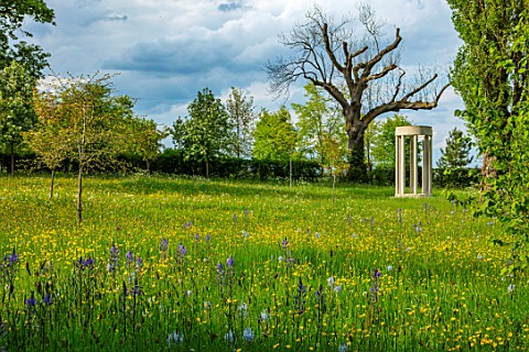 MORTON_HALL_WORCESTERSHIRE_PARKLAND_MEADOW_IN_SPRING_WITH_WILDFLOWERS_AND_CAMASSIA_LEICHTLINII_CAERU