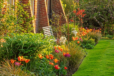 THE_COACH_HOUSE_SURREY_DESIGNER_BARBARA_BROOKS_LAWN_PATH_BORDERS_WITH_TULIPS_WHITE_BENCH_SEAT_WALL_S