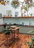 JAMIES JUNGLE, LONDON HOUSE OF JAMIE SONG: APARTMENT FILLED WITH HOUSEPLANTS. INDOORS, GREEN INTERIORS, FOLIAGE, KITCHEN