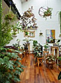 JAMIES JUNGLE, LONDON HOUSE OF JAMIE SONG: APARTMENT FILLED WITH HOUSEPLANTS. INDOORS, GREEN INTERIORS, FOLIAGE
